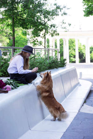 girl and beautiful corgi dog on the city streetの写真素材