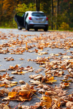 beautiful landscape. mountain road - road in the mountains of austria. autumnの写真素材