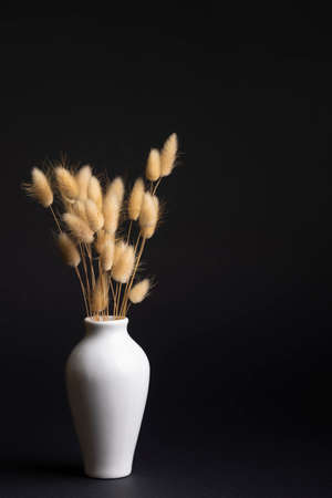 Lagurus in a vase on a black background. screen wallpaperの写真素材