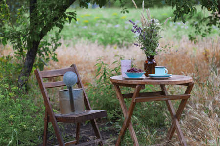 garden and tea party at the country style. still life - Ñherry pie, cups, dishes and a vase with wildflowersの写真素材