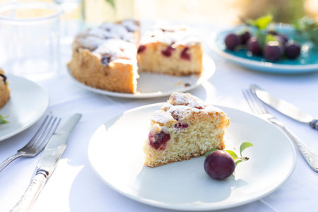 garden and tea party at the country style. still life - Ñherry pie, cups, dishes and a vase with...