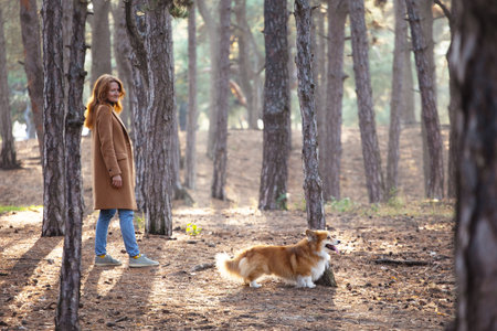 girl and dog corgi walking in the parkの写真素材