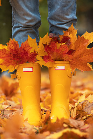 bright autumn. girl in yellow rubber boots walking with a bouquet of maple leavesの写真素材