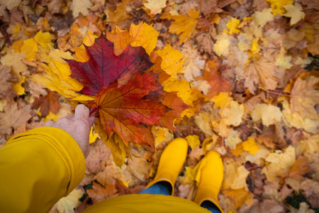 bright autumn. girl in yellow rubber boots walking with a bouquet of maple leavesの写真素材