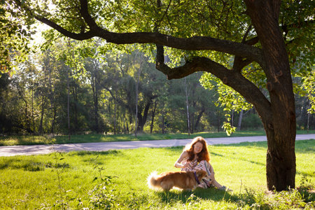 beautiful corgi dog and girl in the parkの写真素材