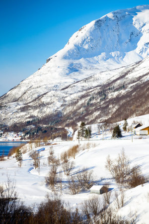 beautiful norwegian landscape - houses on the shore in the background mountains