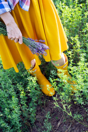 girl holding a bouquet of lavenderの写真素材