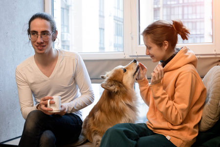 happy girl, boy and dog corgi sitting on the windowsill