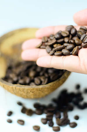 Organic Wood Roasted Coffee with coconut shellの写真素材