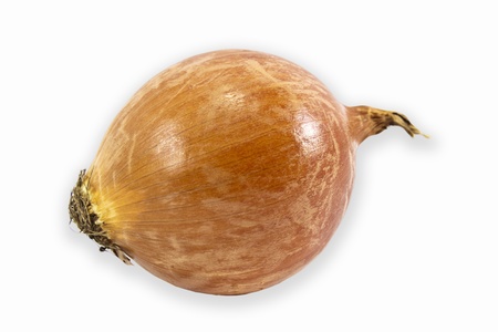 fresh onions vegetables isolated on white backgroundの写真素材