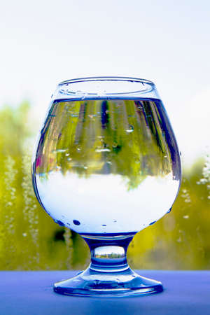 a glass of water trees natureの写真素材