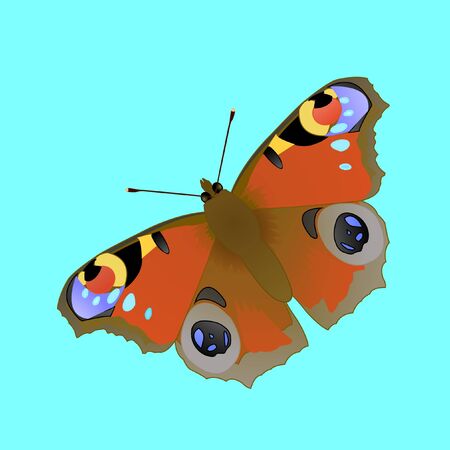 butterfly Nymphalis io L, vector illustrationのイラスト素材