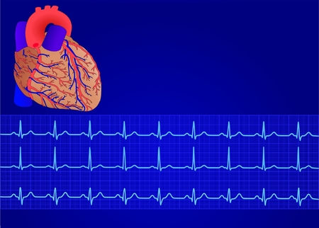 human heart and electrocardiogramのイラスト素材