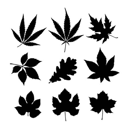 leaf silhouette set for design のイラスト素材
