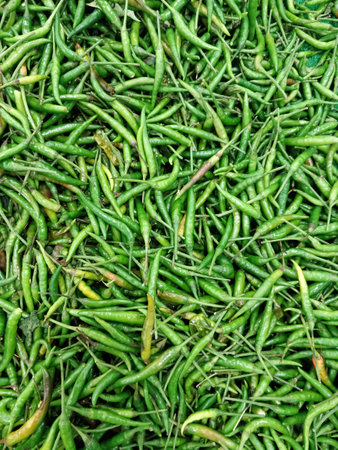 Green Chilisの写真素材