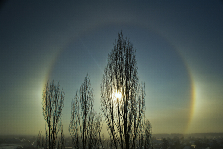 Halo circle behind the trees in a winter dayの写真素材