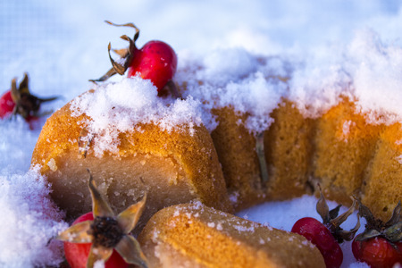 Cake with dog-rose fruit in the snow.の写真素材
