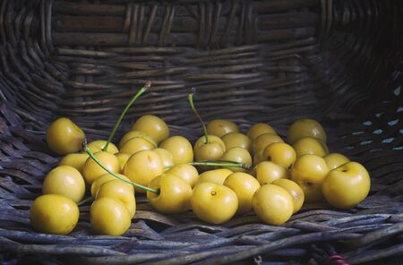 White cherry in the wicker basket. Big amount of berries with wicker basket as background.の写真素材