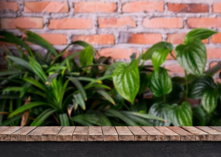 Clear Table on tree and brick wall background