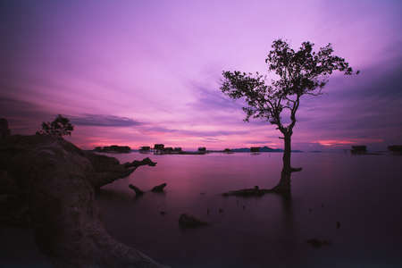 Bodgaya Island, Sempornaの写真素材