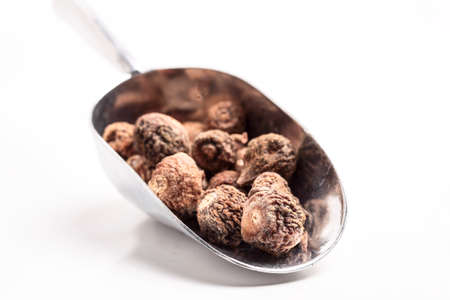 fig fruitの写真素材