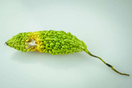 Bitter melon isolated on white backgroundの写真素材