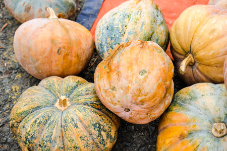 pumpkin on display for sale at local farmer's market