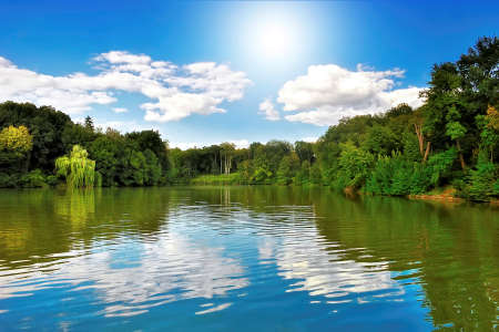 Lake in the forest under a blue sky with bright sunshineの写真素材