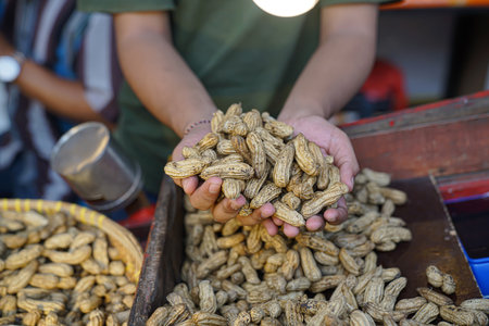 A trader is holding peanuts that are still warm and ready to eatの写真素材