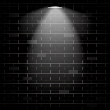 Vector scene illuminated spotlight. Black bricks wall background.


のイラスト素材