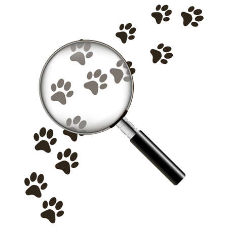 Black animal footprints with magnifier on the white background.  Vector illustration.のイラスト素材