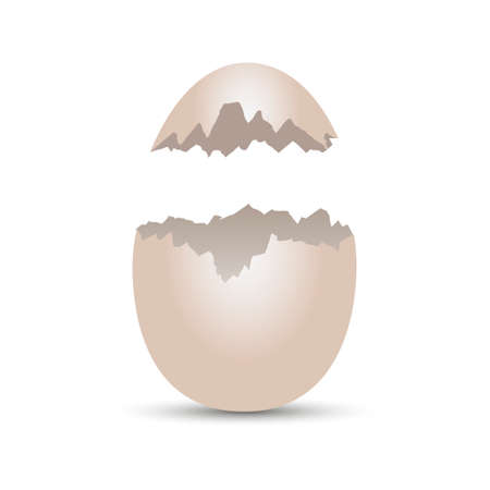 Broken egg. White egg with crack effect. Vector
のイラスト素材