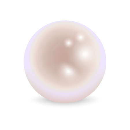 Realistic Pearl on white background. Vector.のイラスト素材