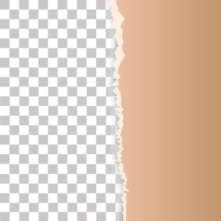 Grunge paper on transparent background, Vector illustration.のイラスト素材