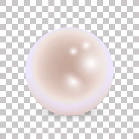 Realistic Pearl on transparent background. Vector.のイラスト素材
