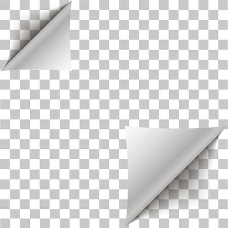 White page double corner curled for your design.のイラスト素材