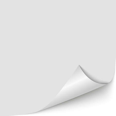 White page corner curled for your design. Place for text.のイラスト素材