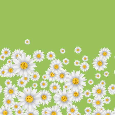 Spring background with falling chamomile on green background. Vectorのイラスト素材