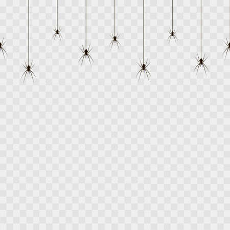 Seamless pattern with hanging spiders on transparent background. Vectorのイラスト素材
