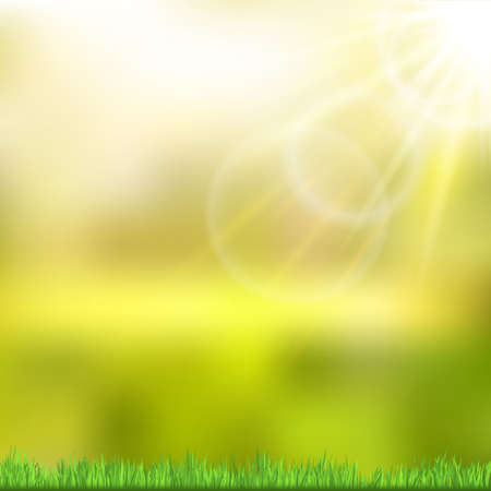 Sunny background with green nature. Vectorのイラスト素材