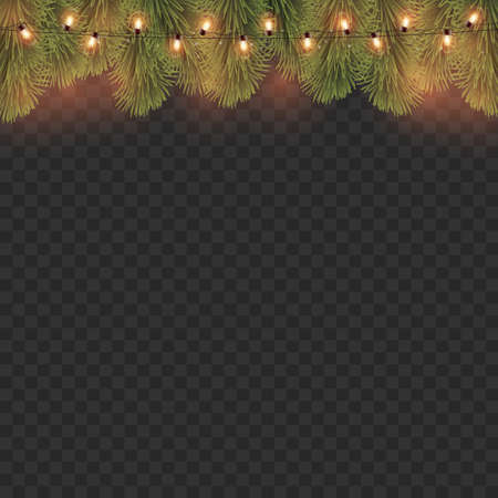 Glowing lights with branches of pine on transparent background. Vector illustrationのイラスト素材