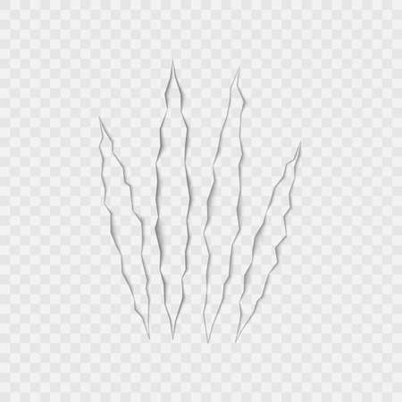 Craft of claws scratches on transparent background. Vector.のイラスト素材