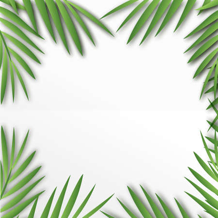 Tropical square frame with palm tree leaves. Vector.のイラスト素材