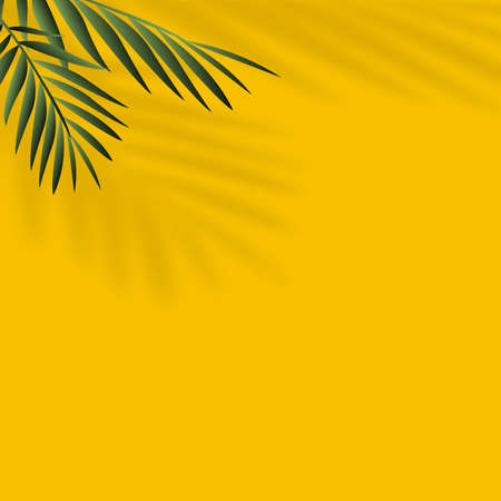 Summer background with shadow of tropical leaves. Vector.のイラスト素材