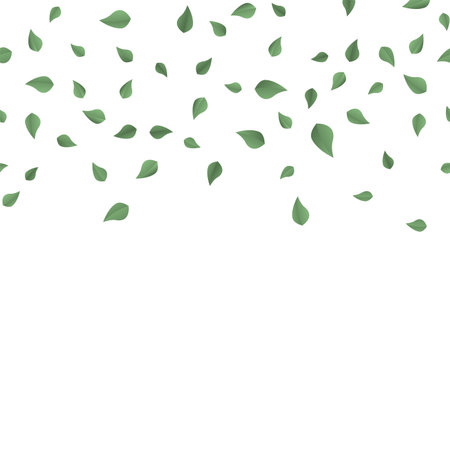 Falling green summer leaves on white background. Vector.のイラスト素材