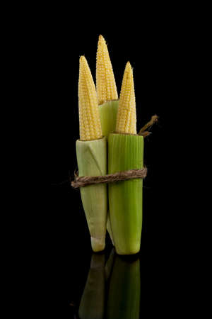 Young raw baby corn isolated on black background with small reflectionの写真素材