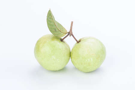 Two guava with leaf isolated on white backgroundの写真素材