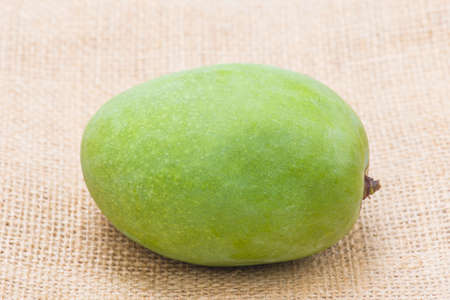 A single green mango on jute の写真素材