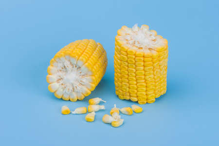 Yellow sweet corn isolated on blue backgroundの写真素材