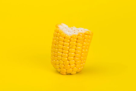 Fresh yellow corn isolated on yellow background